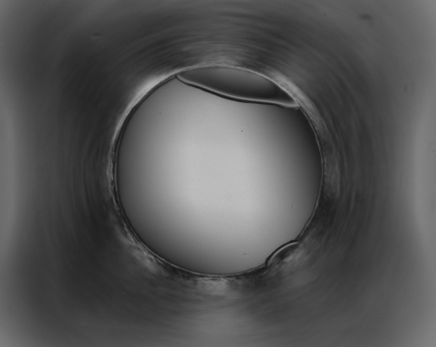 X0000086900956200705071241