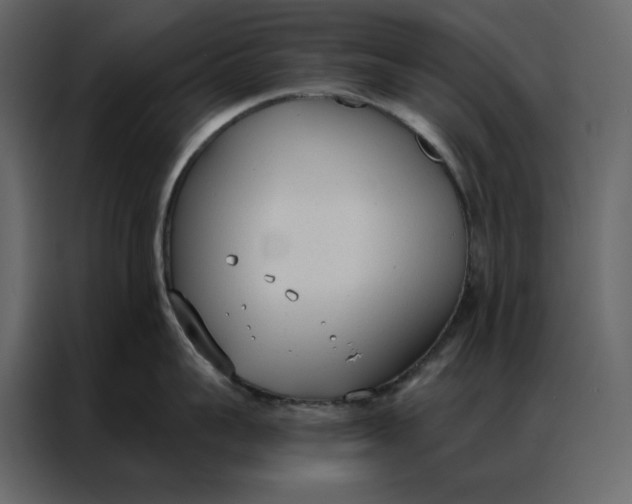 X0000086900959200705071241