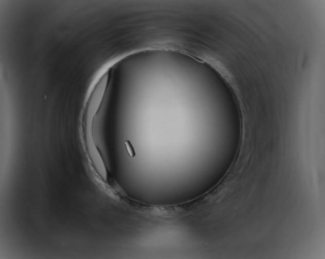 X0000086900960200705071241