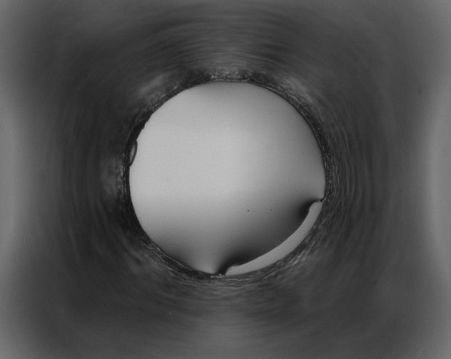 X0000086900964200705071240