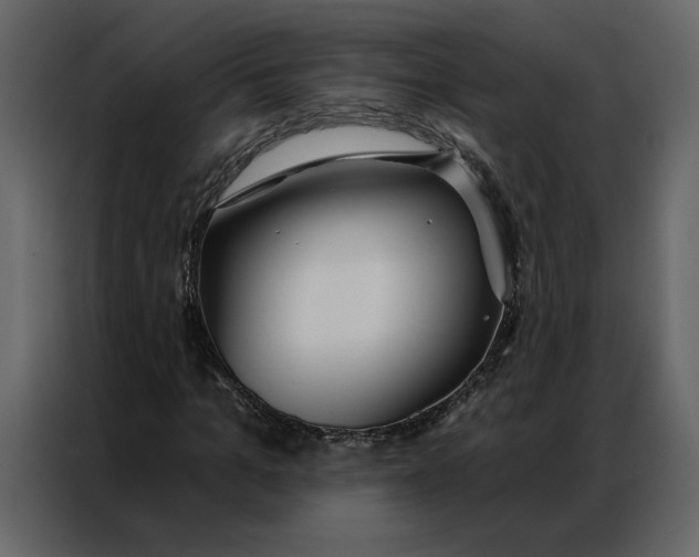 X0000086900965200705071240