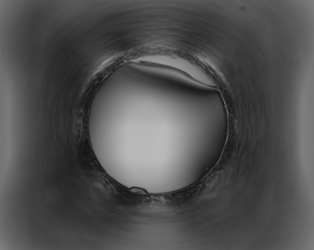 X0000086900968200705071240