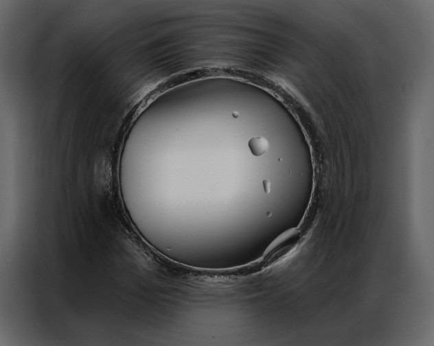 X0000086900969200705071240