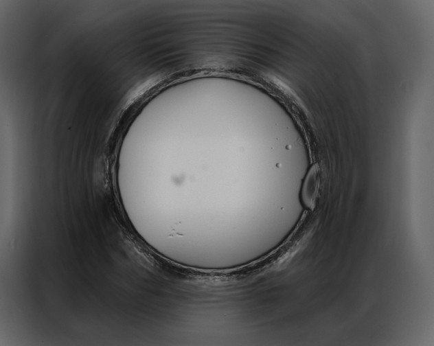 X0000086900970200705071240