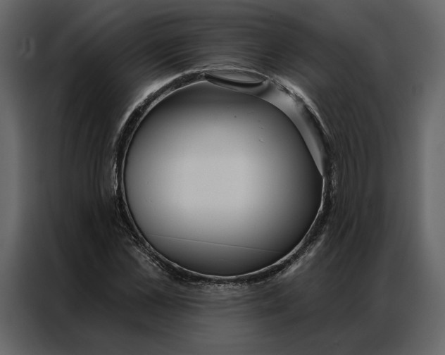 X0000086900973200705071240