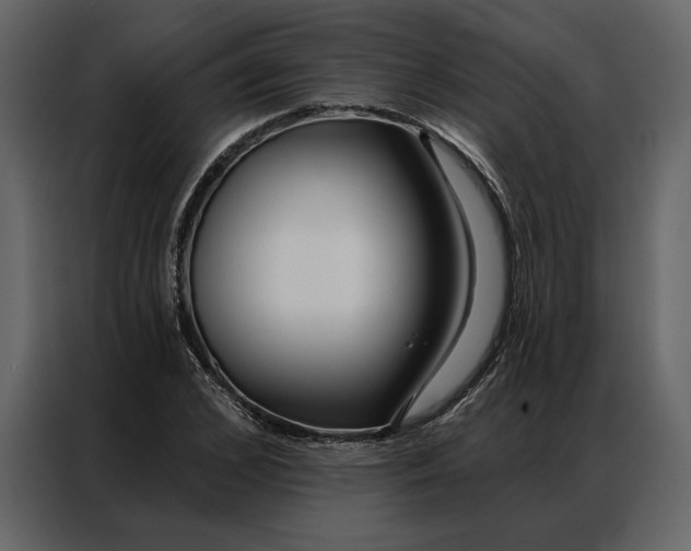 X0000086900976200705071240