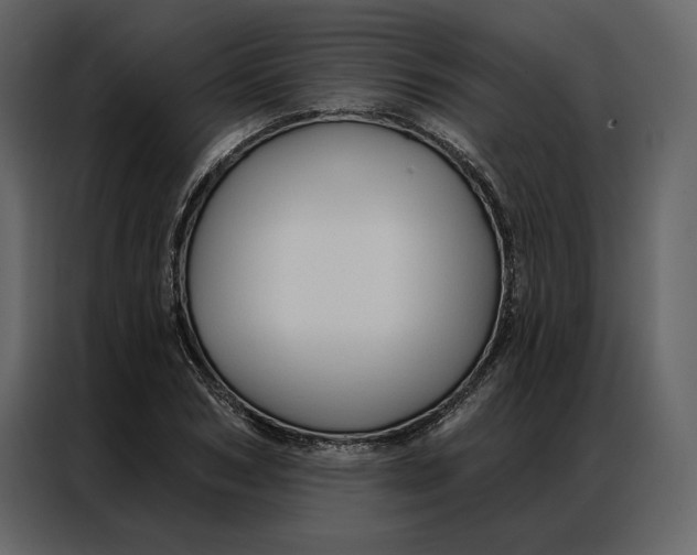 X0000086900978200705071240