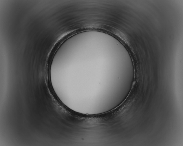 X0000086900984200705071240