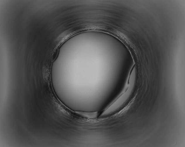 X0000086900985200705071240