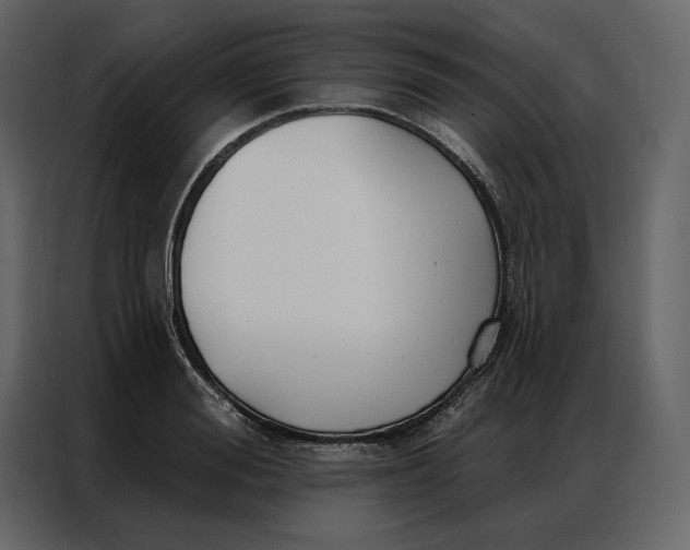 X0000086900988200705071240