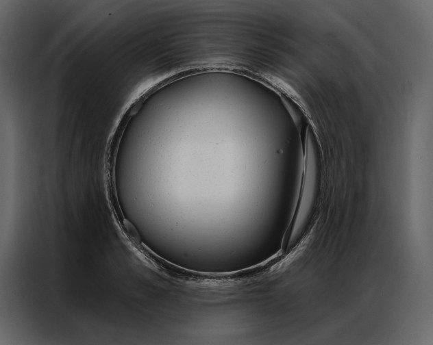 X0000086900989200705071240