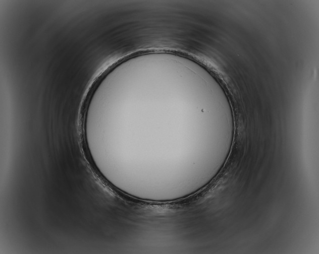 X0000086900990200705071240