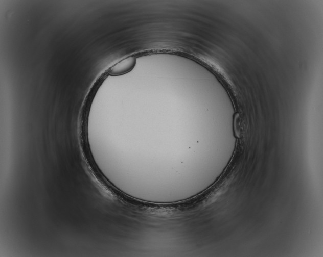 X0000086900991200705071240