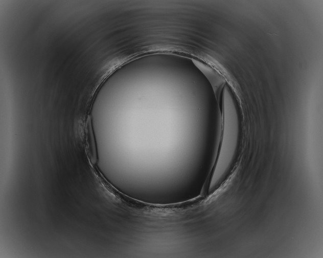 X0000086900993200705071240