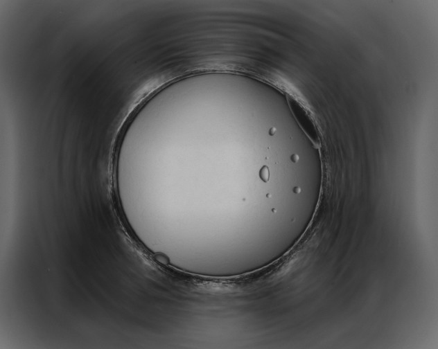 X0000086900994200705071240