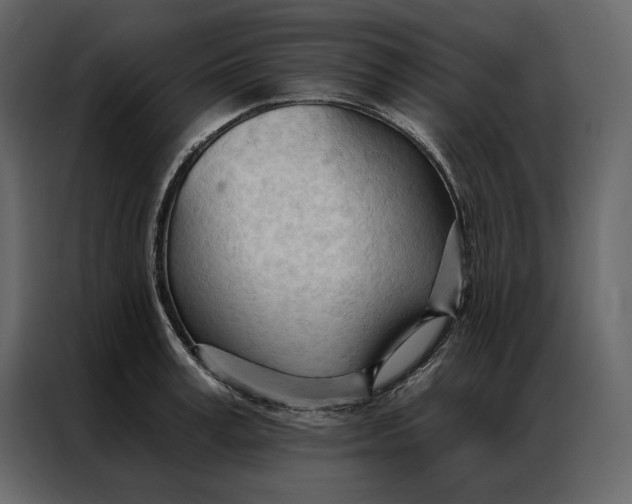 X0000086900995200705071240