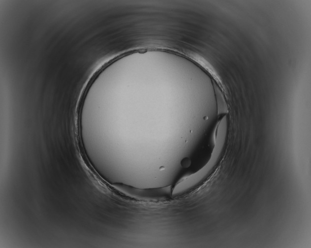 X0000086900996200705071240