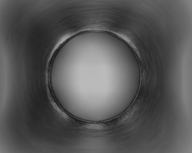 X0000086900998200705071239