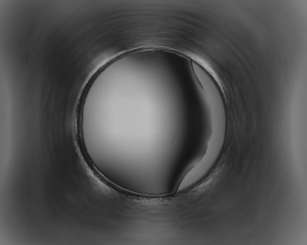 X0000086900999200705071239