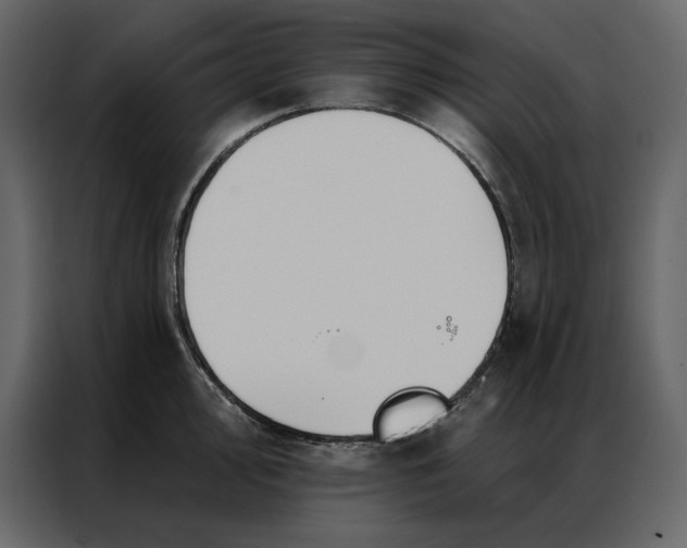 X0000086901000200705071239