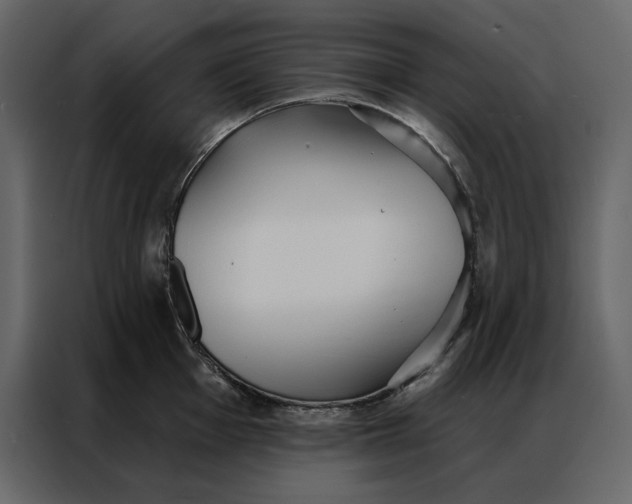 X0000086901001200705071239