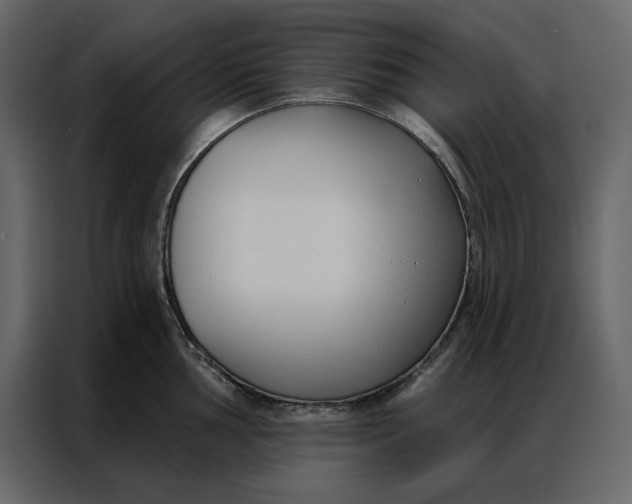 X0000086901002200705071239