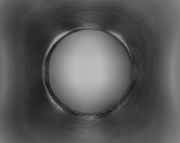 X0000086901003200705071239