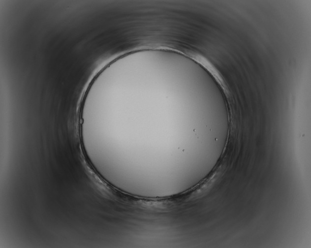 X0000086901004200705071239