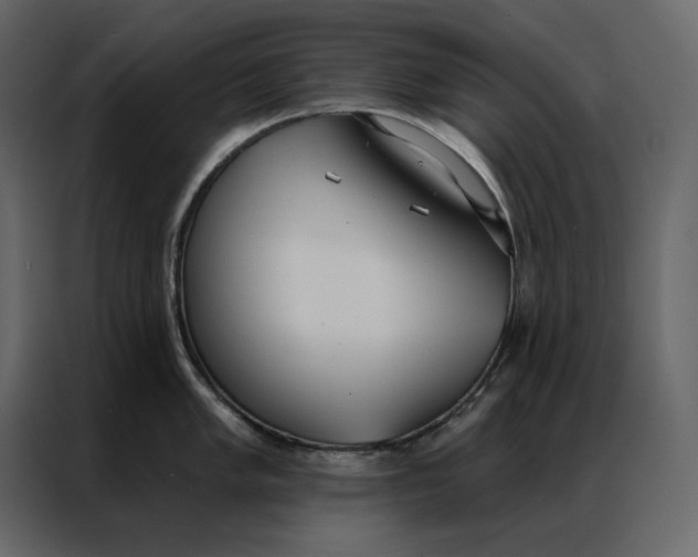 X0000086901005200705071239