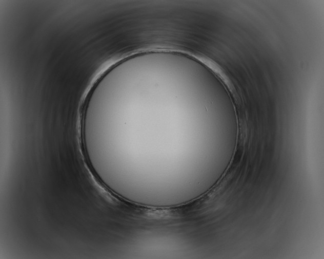 X0000086901006200705071239