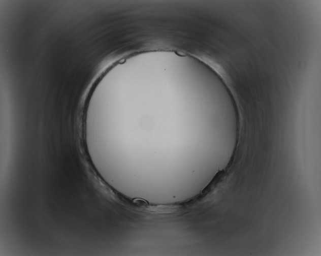 X0000086901008200705071239