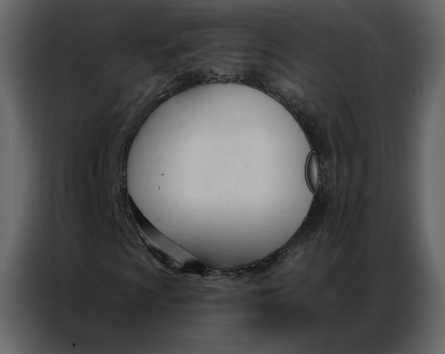 X0000086901009200705071239