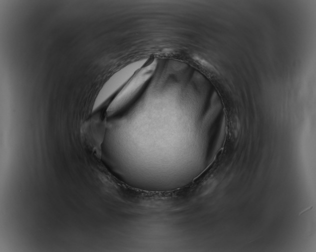 X0000086901010200705071239