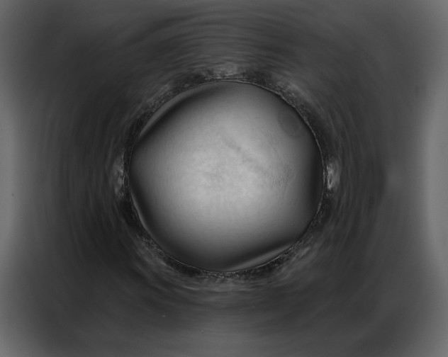 X0000086901011200705071239