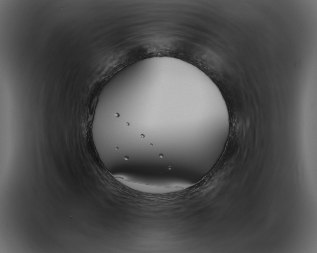 X0000086901012200705071239