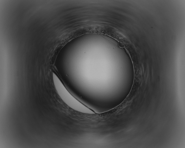 X0000086901013200705071239