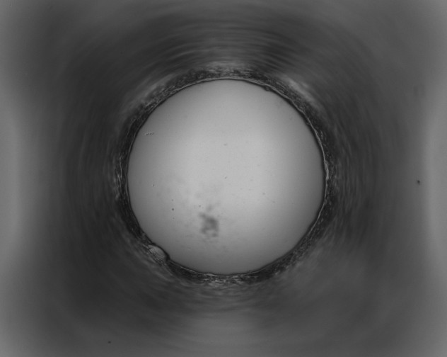 X0000086901015200705071239