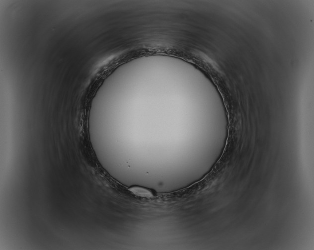 X0000086901016200705071239