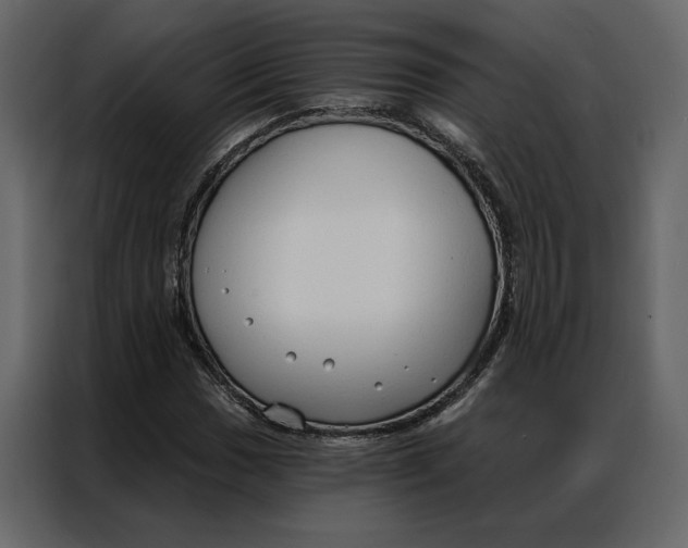 X0000086901017200705071239