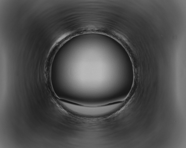 X0000086901018200705071239