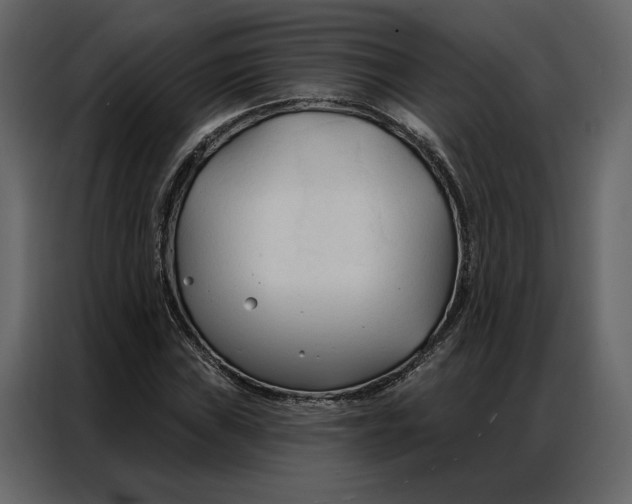 X0000086901019200705071239