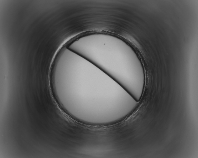 X0000086901020200705071239