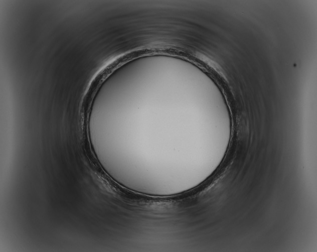 X0000086901021200705071239