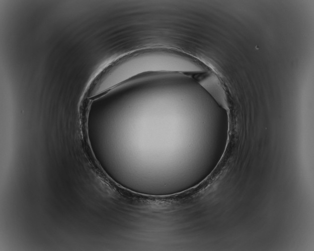 X0000086901022200705071239