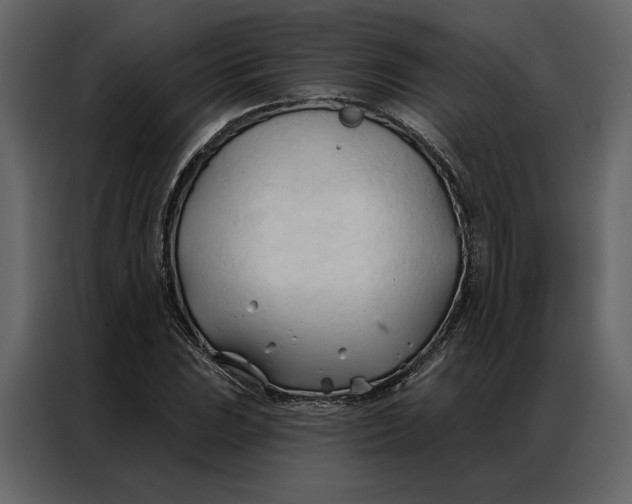 X0000086901023200705071239