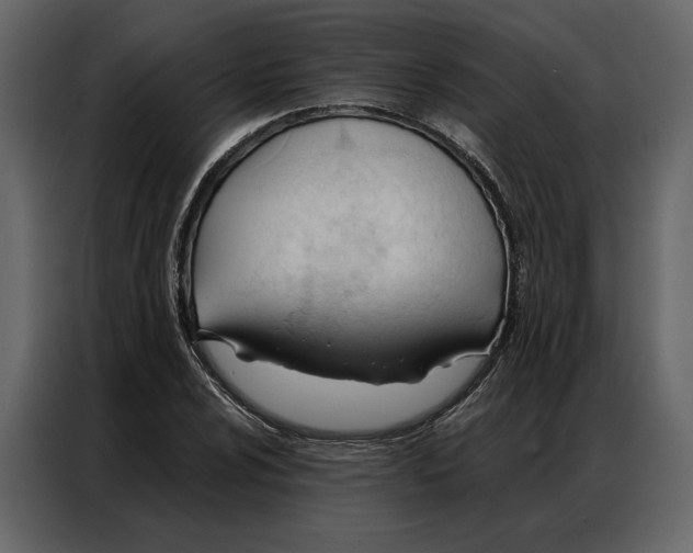 X0000086901024200705071239