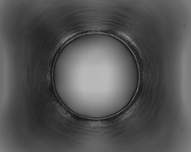 X0000086901025200705071239