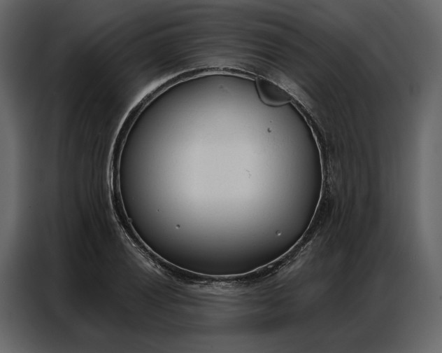 X0000086901028200705071239