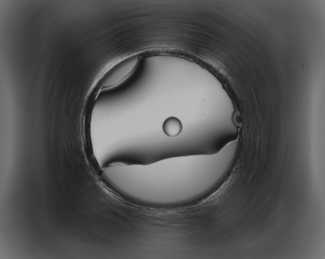 X0000086901030200705071239