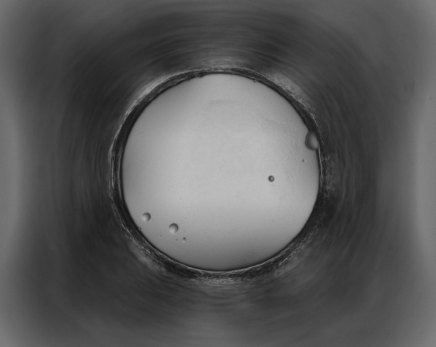 X0000086901031200705071239